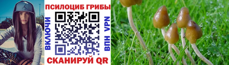 мега ONION  продажа наркотиков  Лобня  Псилоцибиновые грибы Psilocybine cubensis 