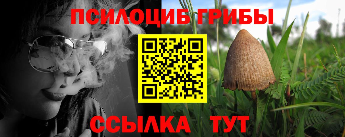 Лобня  Псилоцибиновые грибы Psilocybine cubensis  Вход с VPN  Псилоцибиновые грибы Cubensis 